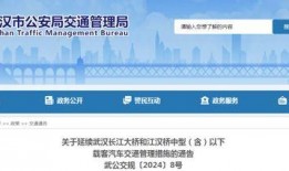 武汉长江爆料最新消息视频,揭秘视频背后的惊人真相